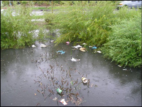 Detention pond collecting trash